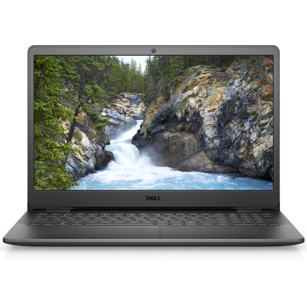 Dell Inspiron 15 3501 Core i5 11th Gen 15.6 Inch FHD Laptop